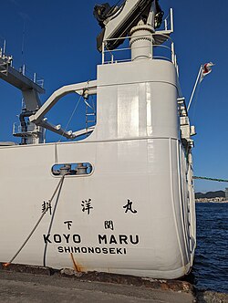 船名 - Wikipedia