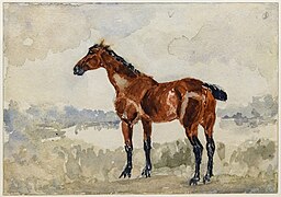 Cheval roux inv.D.1.3 (red horse) by Toulouse-Lautrec in Musée Toulouse-Lautrec Albi