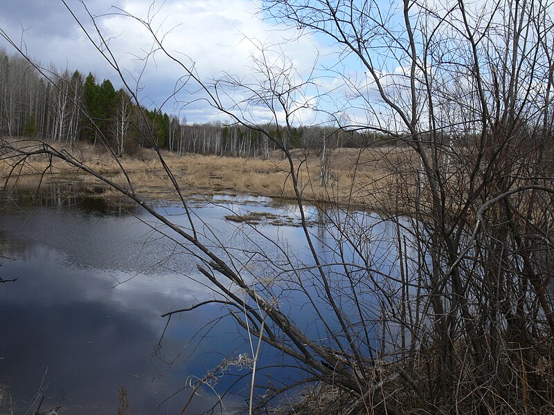 File:Пос.Бугры (неж.) - panoramio.jpg