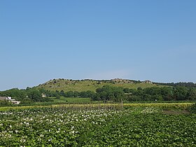 Краєвиди Нігина