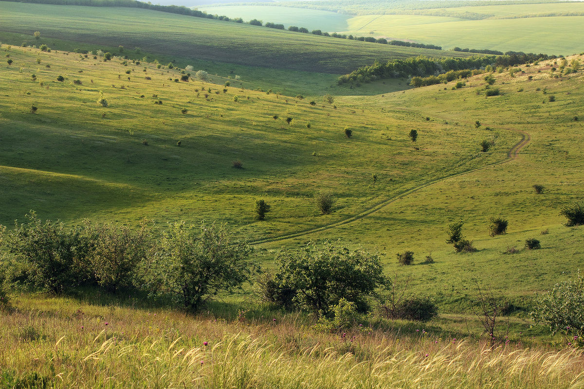 Яри класс