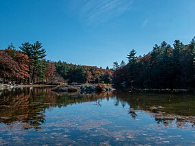 04-1358-breakheart reservation-lake.jpg