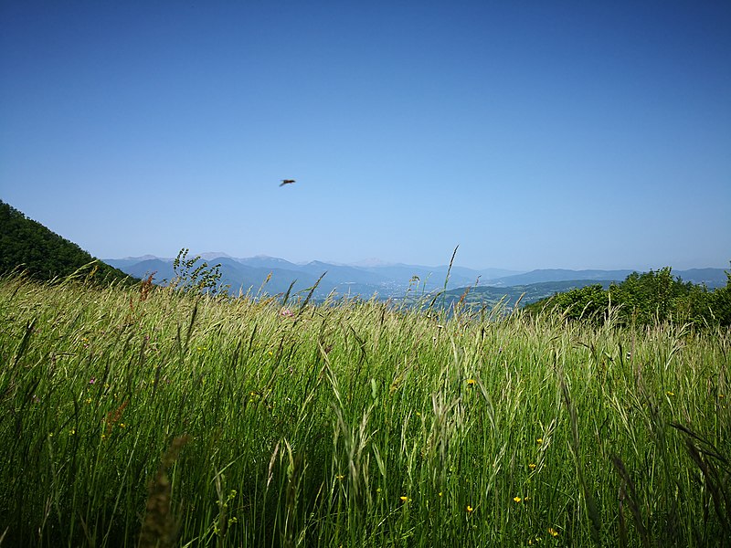 File:12 Turismo Emilia Romagna 8 giugno 2019 Parco dei laghi di Suviana e Brasimone, un ringraziamento speciale alle guide Eugenia e Walter.jpg