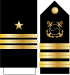 14.SKN-CDR.svg