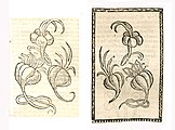 Allium sativum. Left: Hortus Sanitatis, Straßburg 1497 (I, 14). Right: Reversed copy. Kleines Destillierbuch (Blatt 65r)