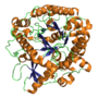 Vignette pour Myrosinase