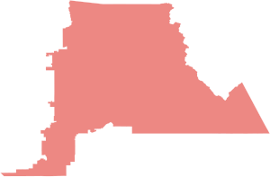 2004 AZ-5 Election Results.svg