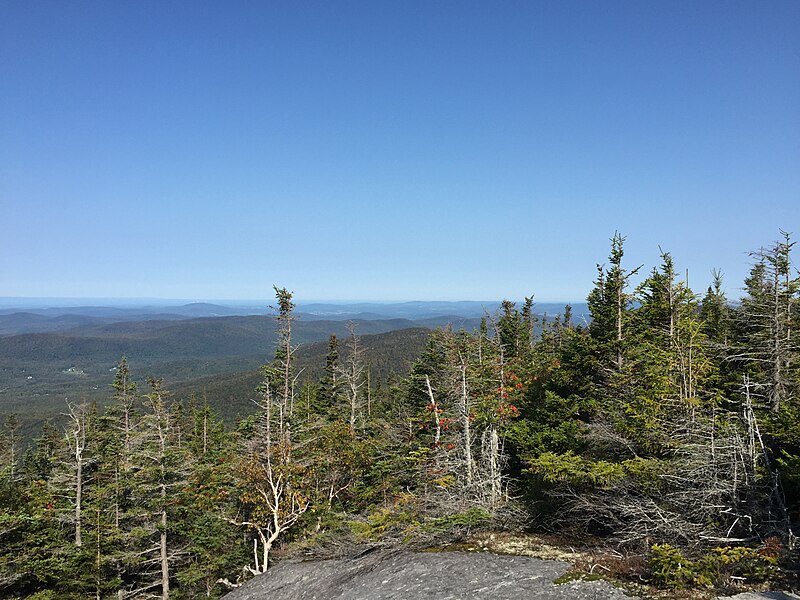 File:2017-09-11 10 23 20 View north-northwest from the Maple Ridge Trail at about 2,840 feet above sea level on the western slopes of Mount Mansfield within Mount Mansfield State Forest in Underhill, Chittenden County, Vermont.jpg