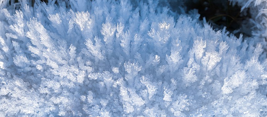 In freezing fog grown ice crystals, showing a tower-like hexagonal structure