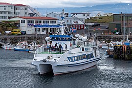 Særún (ship, 1978) - IMO 7713034 - front view