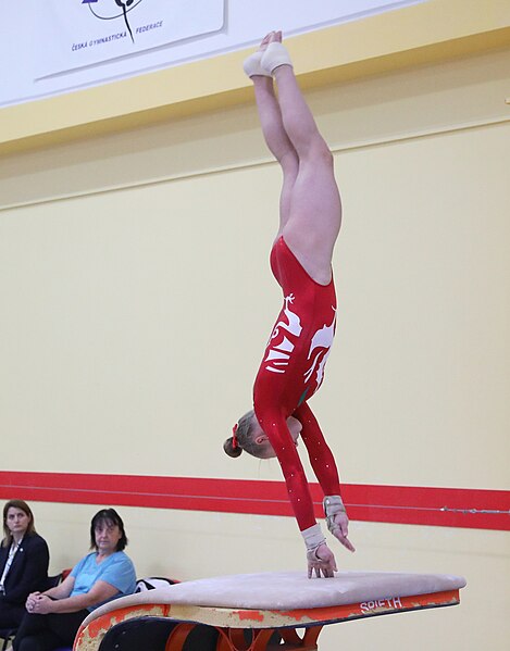 File:2019-11-30 OHC Liberec 2019 WAG Apparatus finals Vault (Martin Rulsch) 039.jpg