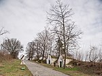 On the mountain in Wilfersdorf (Wilfersdorf (Lower Austria))