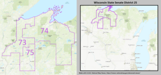 <span class="mw-page-title-main">Wisconsin's 25th Senate district</span>