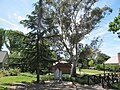 Alec Johnston Park in Hahndorf, South Australia