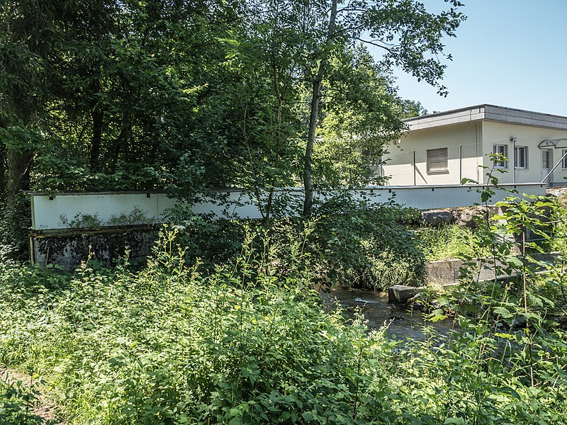 File:ARA Bachwis Brücke über die Glatt, Herisau AR 20190704-jag9889.jpg