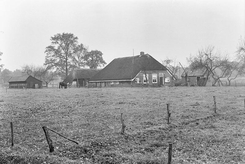 File:Aanzicht - Junne - 20121202 - RCE.jpg