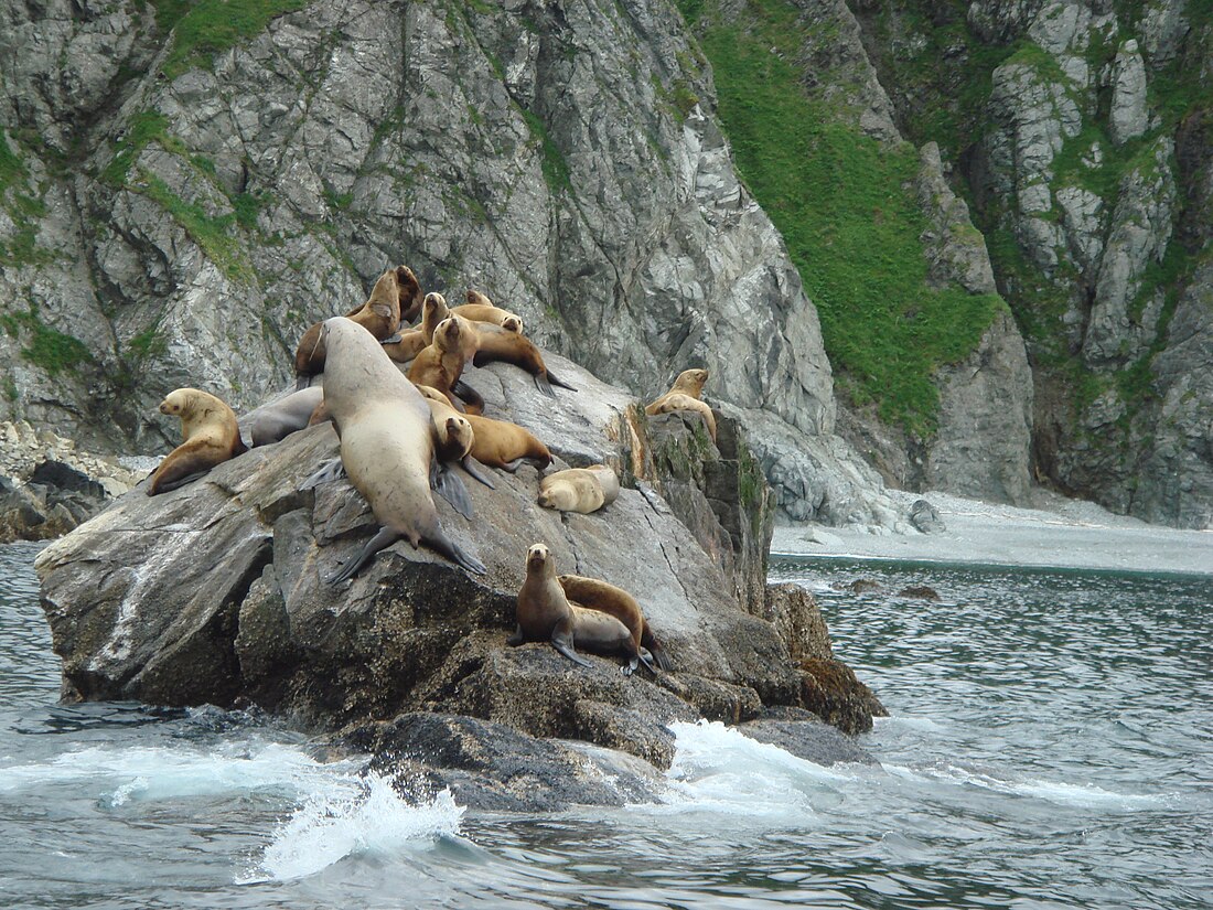 Afognak Island