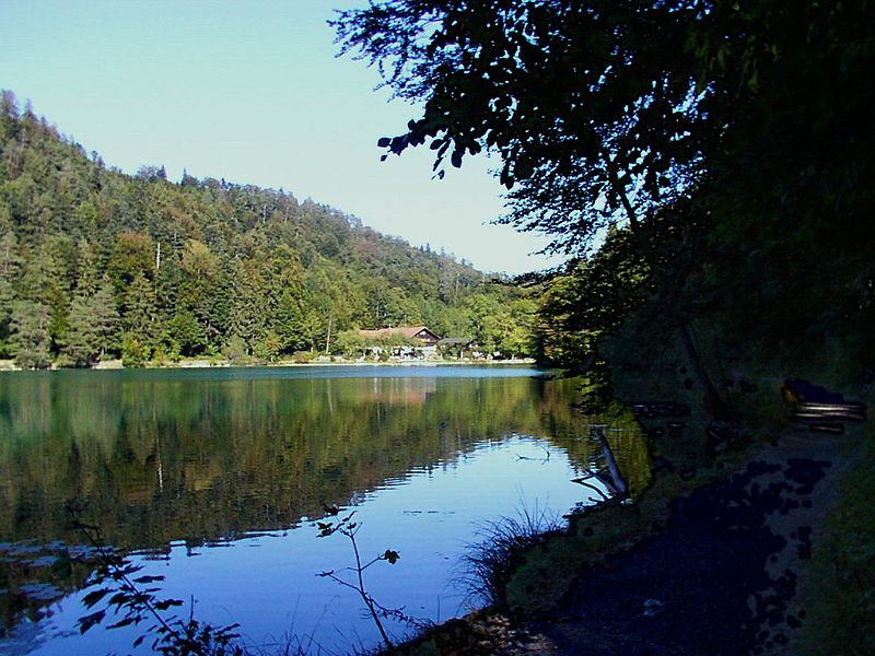 File:Alatsee bei Füssen.jpg