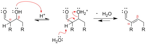 Mecanismo para la deshidratación de un aldol catalizada por ácido.