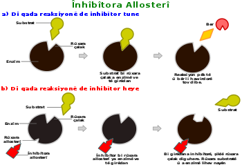 Allosteric competitive inhibition 3 ku.svg