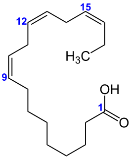 α-Linolensäure ist eine drei