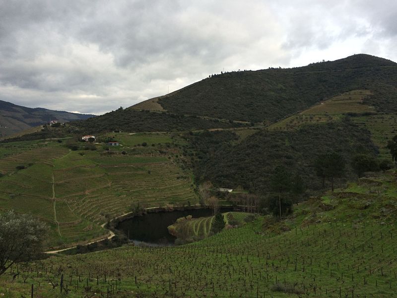 File:Alto Douro Vinhateiro (24687547306).jpg