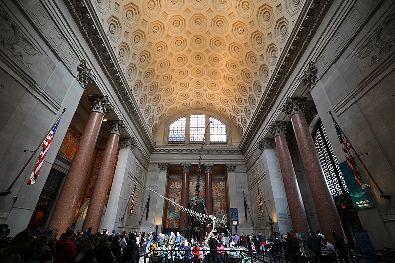 File:American Museum of Natural History, AMNH, Manhattan, New York, New York City, , United States, America, , USA, US (50262006312).jpg