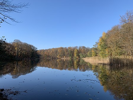 Angermünde Großer Schwarzsee (1)