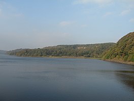 Waduk yang dikelilingi oleh pohon-pohon