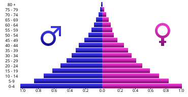 Population pyramid of Angola 2005 Angola population pyramid 2005.svg