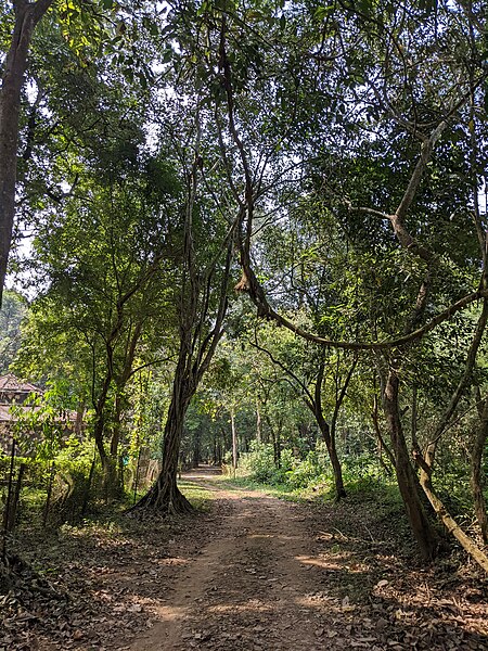 File:Aralam Wildlife Sanctuary during Annual Butterfly Survey 2022 (270).jpg