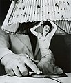 Articulos electricos para el hogar - Grete Stern, 1950.jpg