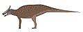 Augustynolophus morrisi