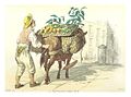 Dessin d'un homme avec un âne vendant des fruits
