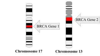 BRCA_mutation