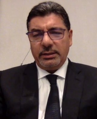 <span class="mw-page-title-main">Bahaa Hariri</span> Lebanese businessman