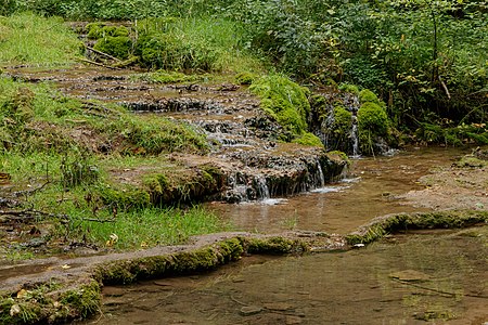 Confluence of Balgenbächle and Gauchach Bräunlingen