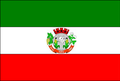 Bandeira de Iuiú