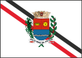 Bandeira de Araras.svg