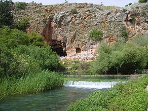 Spring of Banias river, one of the main tributory of the Jordan River. In the background Pan's cave