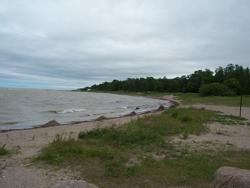 File:Beach, Point Clark, Ontario.jpg