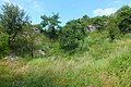 English: Area below the natural monument Růžičkův lom (Růžička's Quarry). Čeština: Pod přírodní památkou Růžičkův lom.
