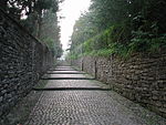 Jardín botánico de Bergamo Lorenzo Rota