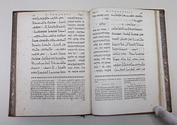 Translation of «kiraz» into 25 languages