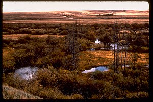 Big Hole National Battlefield BIHO0639.jpg