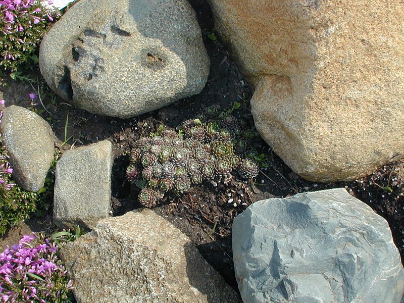 File:Big stones on ground.jpg