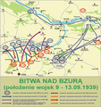 Pisipilt versioonist seisuga 22. juuli 2009, kell 12:41