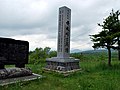 Vignette pour Bataille du col de Bonari