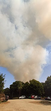 Incendie du 18 juillet 2022 vu depuis les berges du lac du Drennec.