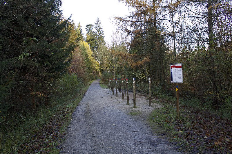 File:Bremgartenwald - panoramio (33).jpg